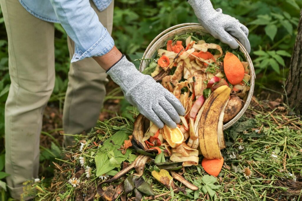 Nachhaltig kochen Kompost